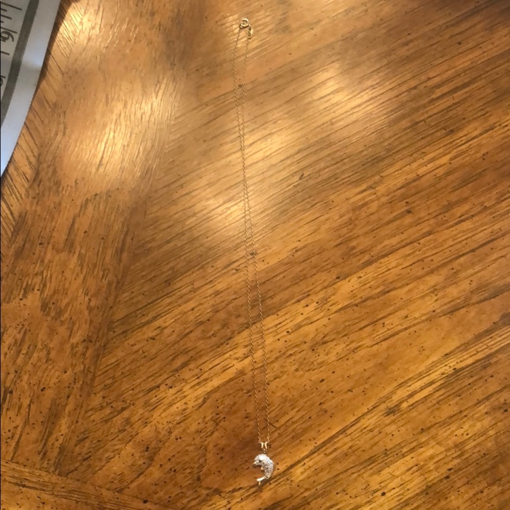 Dolphin necklace